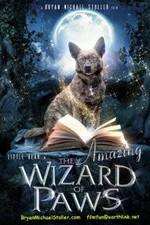 Watch The Amazing Wizard of Paws 123MoviesFree