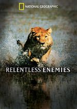Watch Relentless Enemies 123MoviesFree