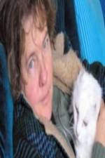 Watch Ciao Meow 123MoviesFree