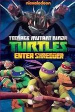 Watch Teenage Mutant Ninja Turtles: Enter Shredder 123MoviesFree