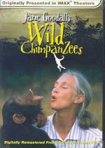 Watch Jane Goodall\'s Wild Chimpanzees 123MoviesFree