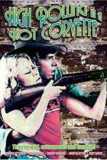 Watch High Rolling in a Hot Corvette 123MoviesFree