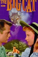 Watch The Big Cat 123MoviesFree