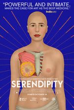 Watch Serendipity 123MoviesFree