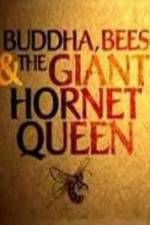 Watch Natural World Buddha Bees and the Giant Hornet Queen 123MoviesFree