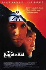 Watch The Karate Kid, Part III 123MoviesFree