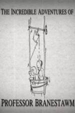 Watch The Incredible Adventures of Professor Branestawm 123MoviesFree