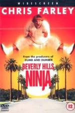 Watch Beverly Hills Ninja 123MoviesFree