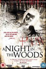 Watch A Night in the Woods 123MoviesFree