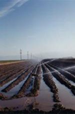 Watch El Valley Centro 123MoviesFree