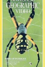 Watch National Geographic's Webs of Intrigue 123MoviesFree