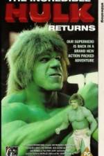Watch The Incredible Hulk Returns 123MoviesFree