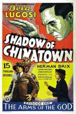Watch Shadow of Chinatown 123MoviesFree