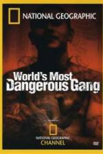 Watch National Geographic World's Most Dangerous Gang 123MoviesFree