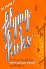Watch The Mystery of Flying Kicks 123MoviesFree