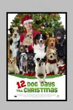 Watch 12 Dog Days of Christmas 123MoviesFree