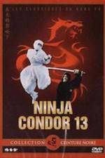 Watch Ninjas Condors 13 123MoviesFree