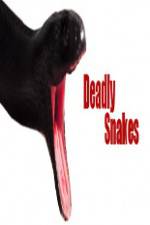 Watch National Geographic Wild Deadly Snakes 123MoviesFree