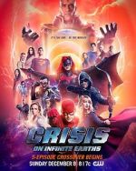Watch Crisis on Infinite Earths 123MoviesFree