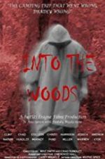 Watch Into the Woods 123MoviesFree