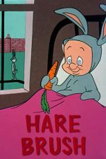 Watch Hare Brush (Short 1955) 123MoviesFree