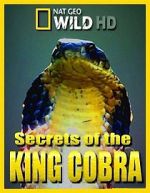 Watch Secrets of the King Cobra 123MoviesFree