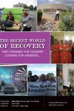 Watch The Secret World of Recovery 123MoviesFree