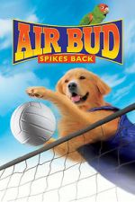 Watch Air Bud: Spikes Back 123MoviesFree