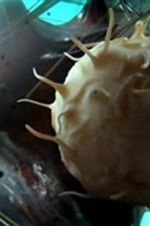 Watch Our Secret Universe: The Hidden Life of the Cell 123MoviesFree