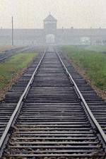 Watch AUSCHWITZ: FACTORIES OF DEATH 123MoviesFree