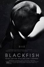Watch Blackfish 123MoviesFree