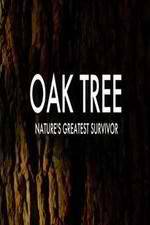 Watch Oak Tree Natures Greatest Survivor 123MoviesFree