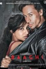 Watch Baaghi 123MoviesFree