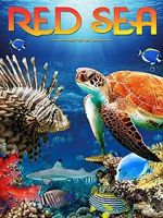 Watch Red Sea 4K 123MoviesFree