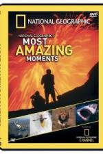 Watch National Geographic's Most Amazing Moments 123MoviesFree