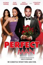 Watch The Perfect Man 123MoviesFree
