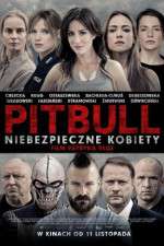 Watch Pitbull: Tough Women 123MoviesFree