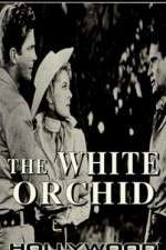 Watch The White Orchid 123MoviesFree