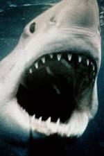 Watch Sharkmania: The Top 15 Biggest Baddest Bloodiest Bites 123MoviesFree