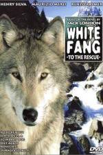 Watch Zanna bianca alla riscossa 123MoviesFree