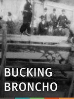 Watch Bucking Broncho 123MoviesFree