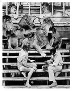 Watch Roar: The Most Dangerous Movie Ever Made 123MoviesFree