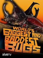Watch World\'s Biggest and Baddest Bugs 123MoviesFree