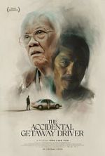 Watch The Accidental Getaway Driver 123MoviesFree