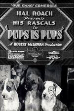 Watch Pups Is Pups 123MoviesFree