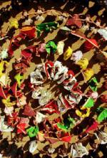 Watch Bollywood: The Greatest Love Story Ever Told 123MoviesFree