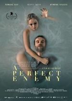 Watch A Perfect Enemy 123MoviesFree