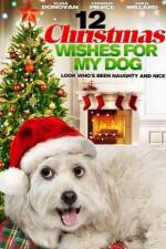 Watch 12 Christmas Wishes For My Dog 123MoviesFree