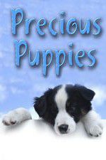 Watch Precious Puppies 123MoviesFree