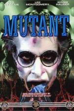 Watch Night Shadows 123MoviesFree